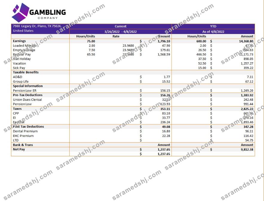gambling company pay stub template in Word and PDF formats